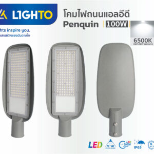 โคมไฟถนน Lighto-LED streetlilght-PENGUIN-100W